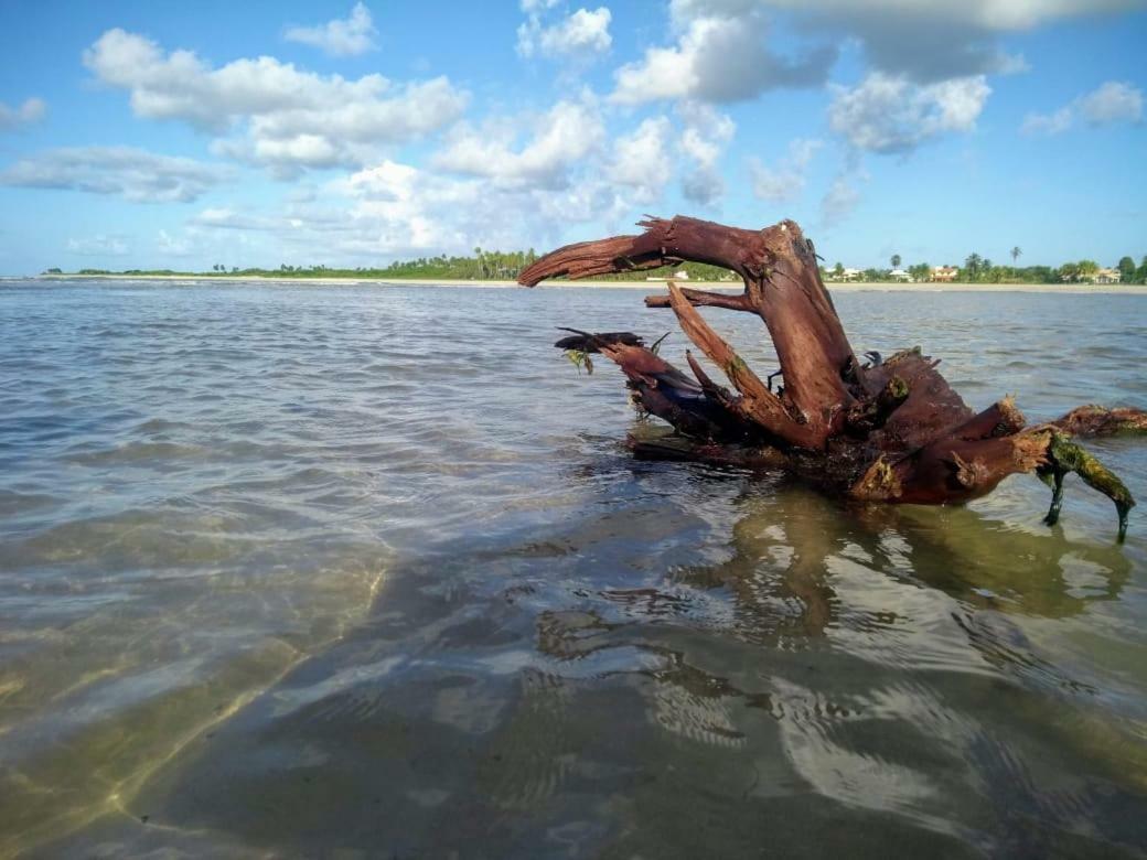 Recanto Das Folhas Paripueira Luaran gambar